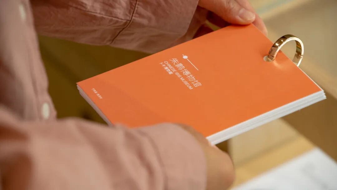 Image related to Will the Qinling Mountains Become the Next Songtsam-Style Travel Route?