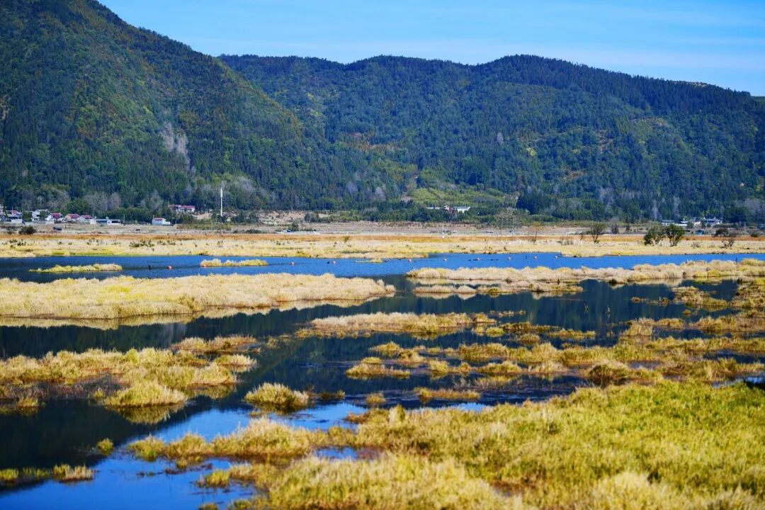 Image related to Baoshan, Yunnan: The Overlooked Slow City Quieter than Lijiang, as Charming as Xishuangbanna, and Perfect for a Summer Escape