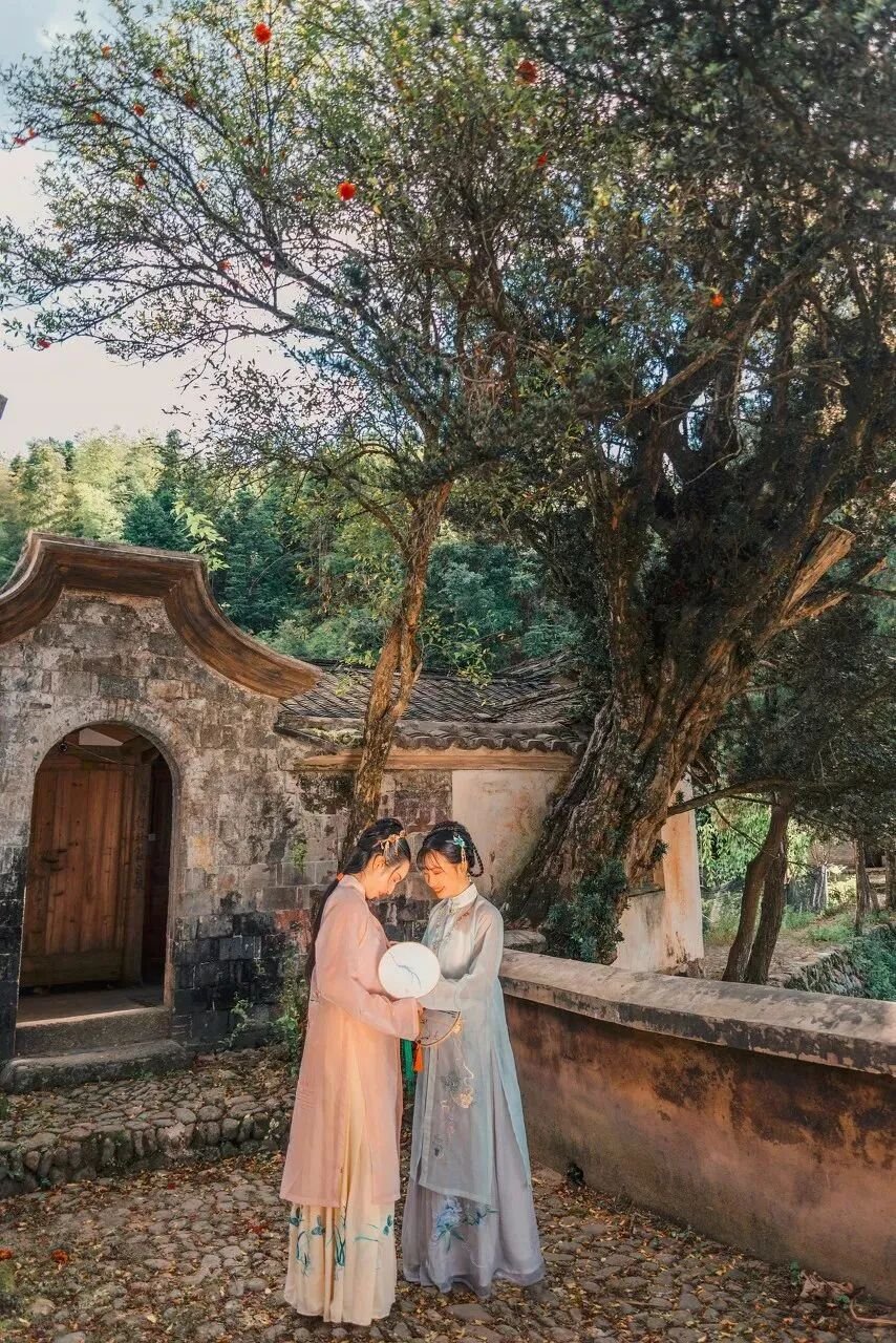 Image related to Fujian Longyan: Vast Cherry Blossoms Five Times Larger Than Japan's Amaze the World, While This Underrated Western Fujian Town Deserves Far More Attention!