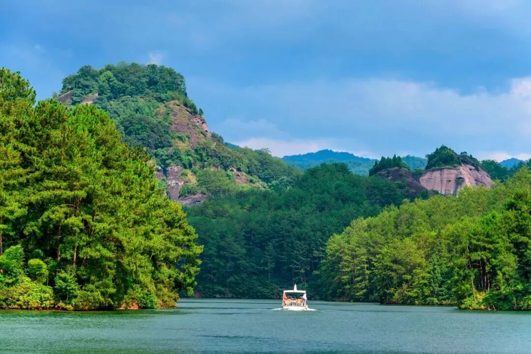 Image related to Fujian Longyan: Vast Cherry Blossoms Five Times Larger Than Japan's Amaze the World, While This Underrated Western Fujian Town Deserves Far More Attention!