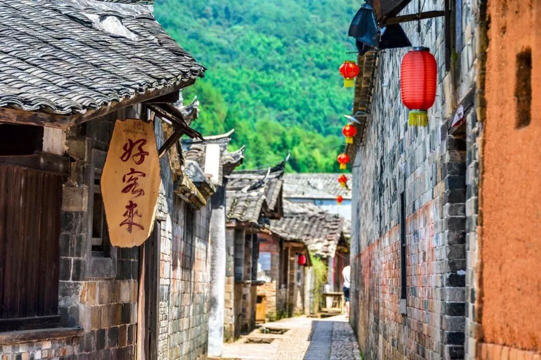 Image related to Fujian Longyan: Vast Cherry Blossoms Five Times Larger Than Japan's Amaze the World, While This Underrated Western Fujian Town Deserves Far More Attention!