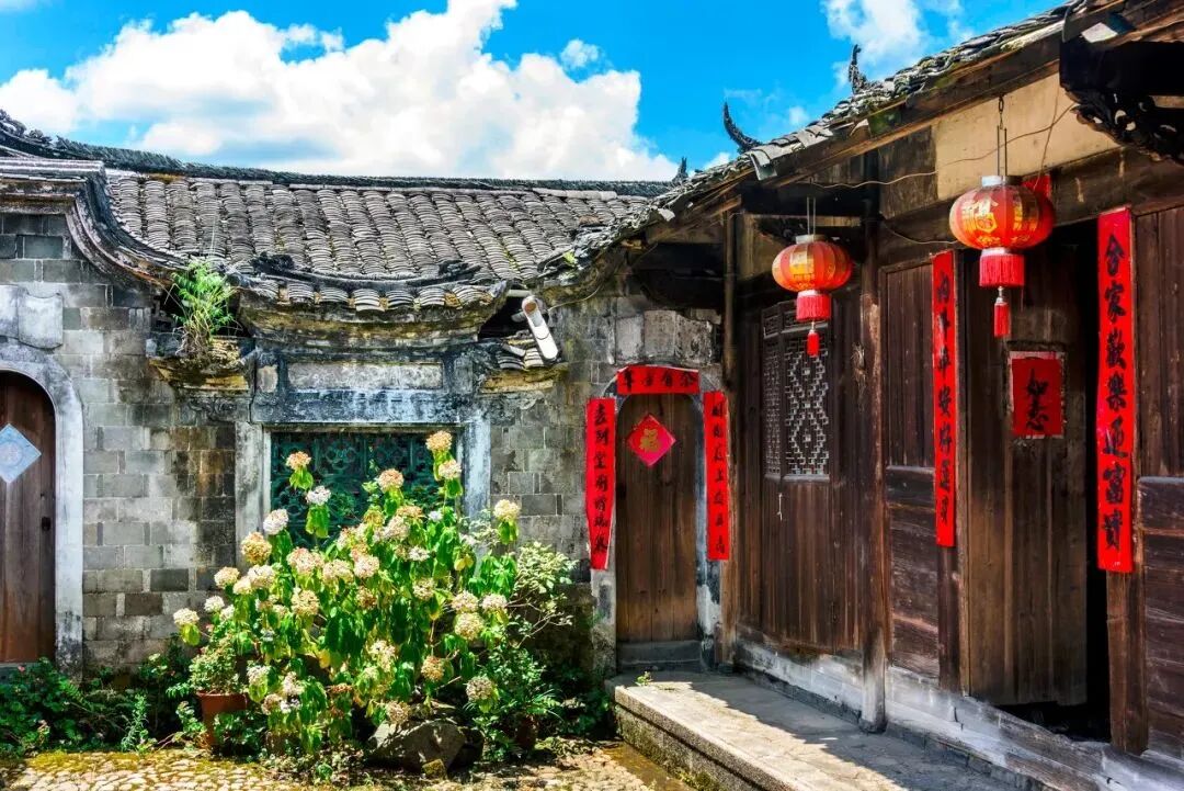 Image related to Fujian Longyan: Vast Cherry Blossoms Five Times Larger Than Japan's Amaze the World, While This Underrated Western Fujian Town Deserves Far More Attention!