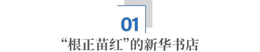 Image related to Is Xinhua Bookstore Actually Profitable?