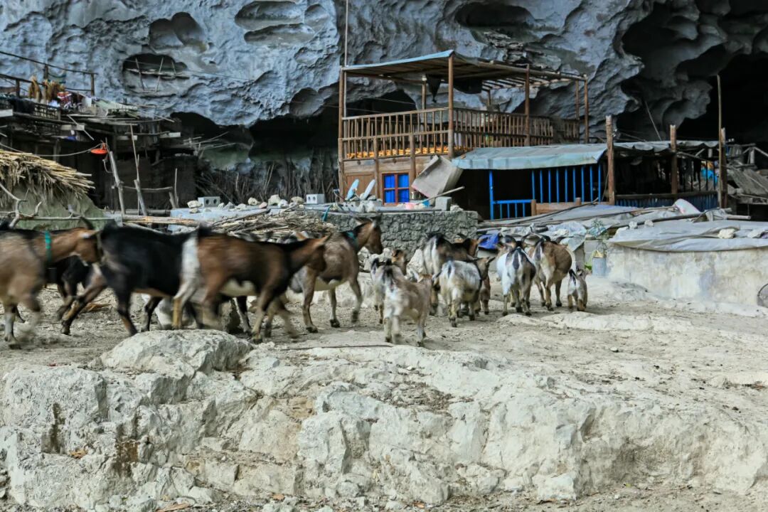 Image related to Ziyun, Guizhou: China's Last Cave Dwellers