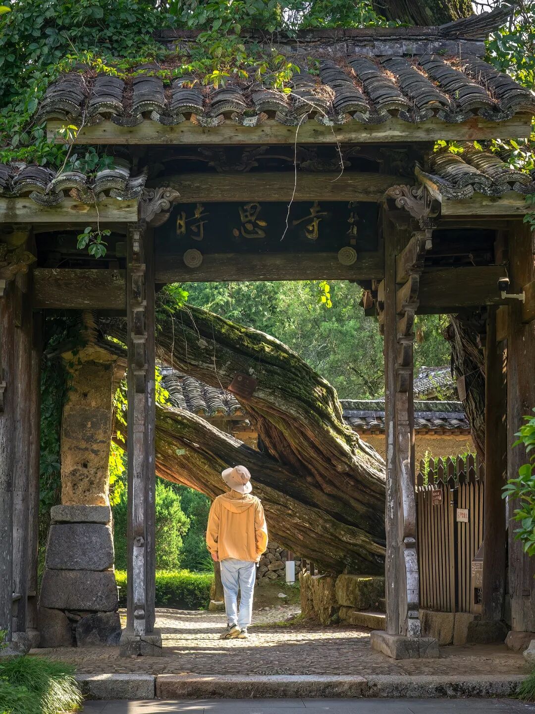 Image related to Black Myth: Wukong - The Ultimate Guide to All 36 Filming Locations, Each a National Treasure!