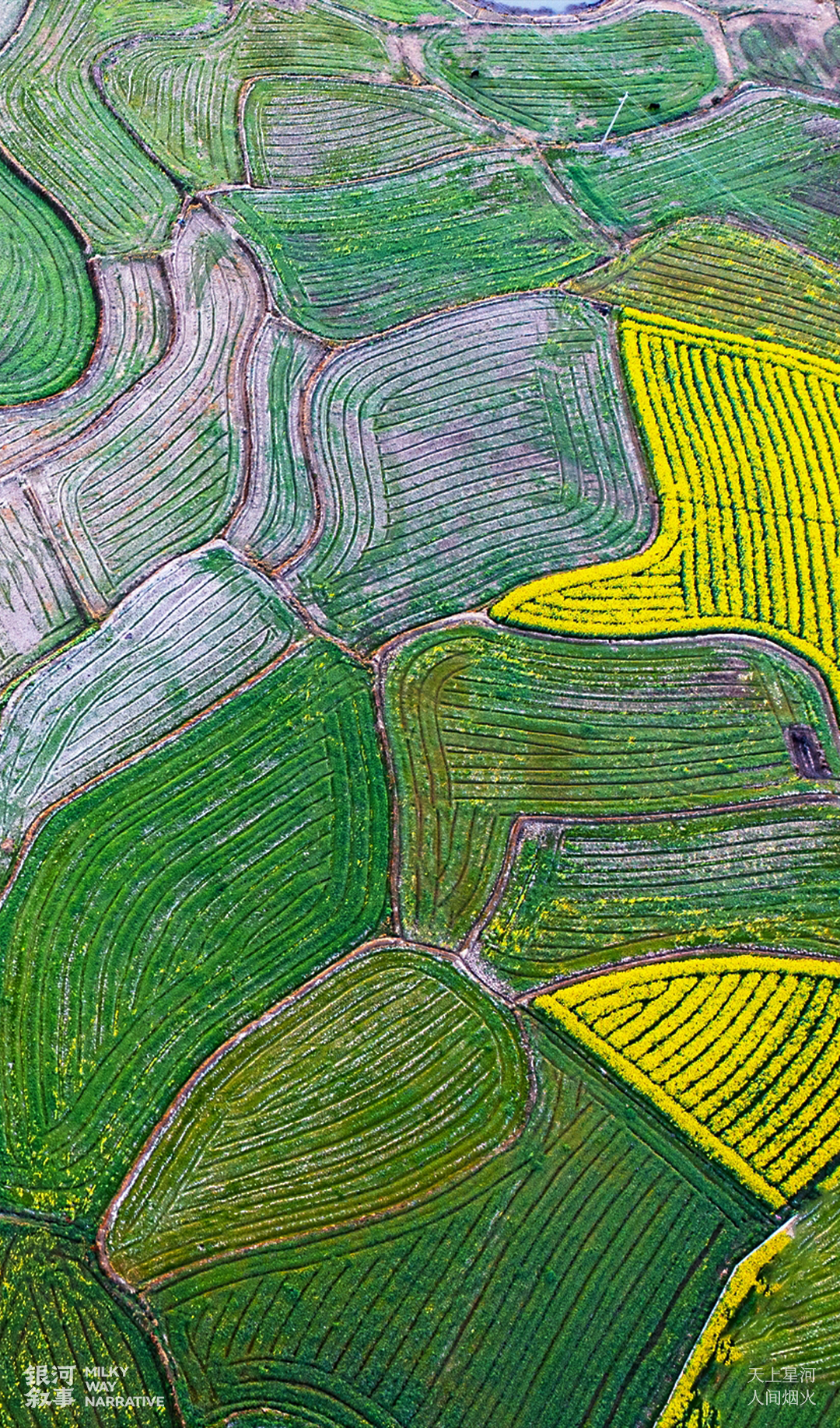 Image related to Su Dongpo's Huangzhou: A Sanctuary for the Heartbroken Today