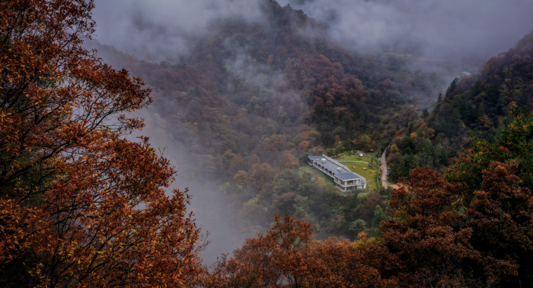 Image related to Will the Qinling Mountains Become the Next Songtsam-Style Travel Route?