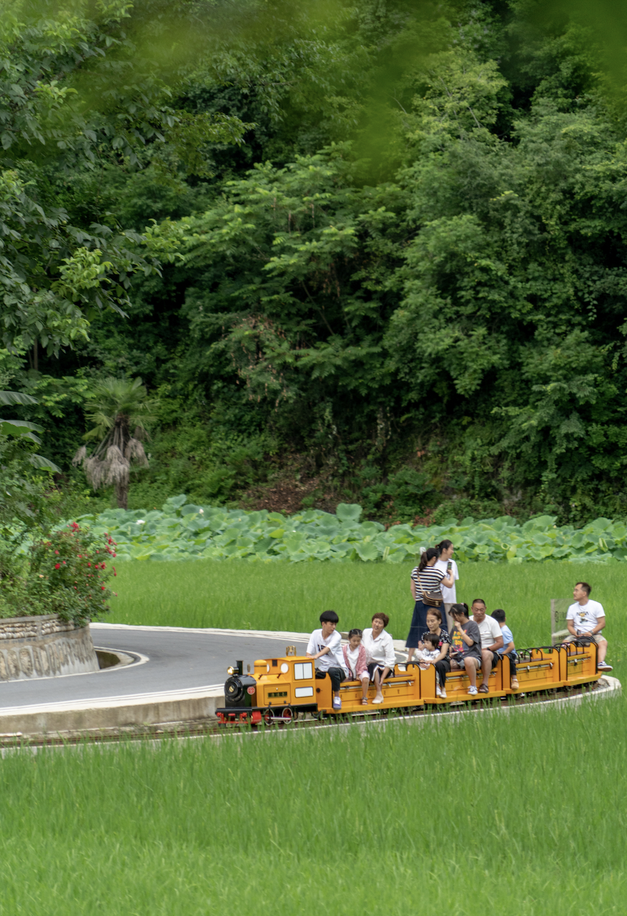 Image related to Will the Qinling Mountains Become the Next Songtsam-Style Travel Route?